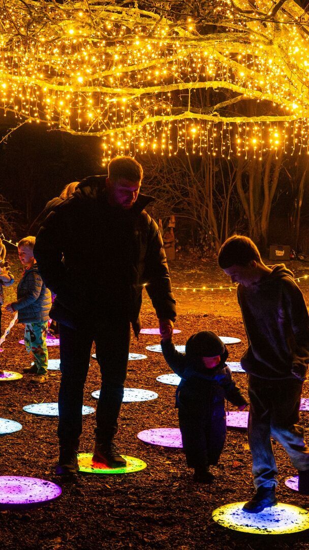 Light Up Trails This Christmas At Sir Harold Hillier Gardens - Light Up Trails This Christmas At Sir Harold Hillier Gardens
