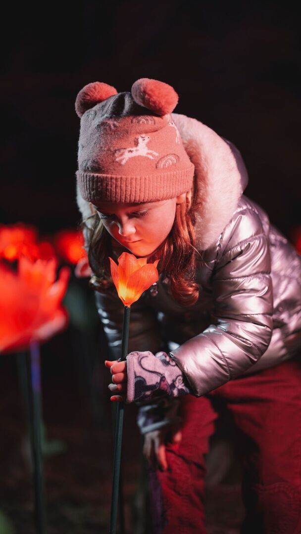 Light Up Trails This Christmas At Sir Harold Hillier Gardens - Light Up Trails This Christmas At Sir Harold Hillier Gardens