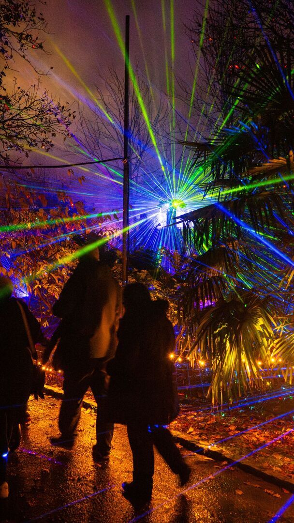 Light Up Trails This Christmas At Sir Harold Hillier Gardens - Light Up Trails This Christmas At Sir Harold Hillier Gardens