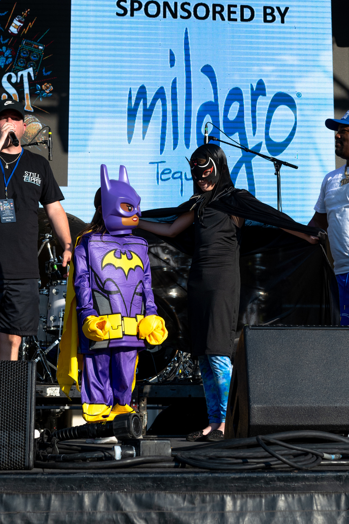 Bat Fest - Bat Fest