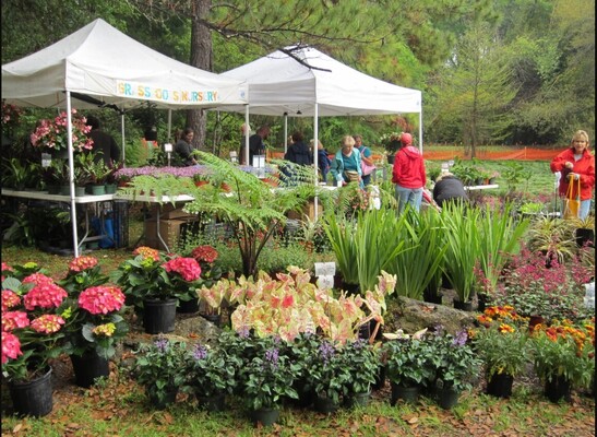 Event image for Fall Plant Sale and Open House