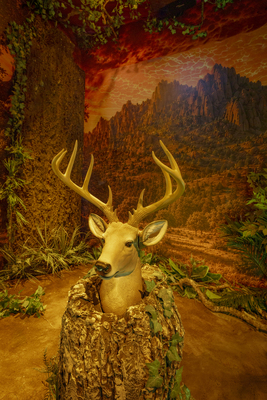 Leap of Legend: An Immersive Sensory Experience at Stags' Leap Winery