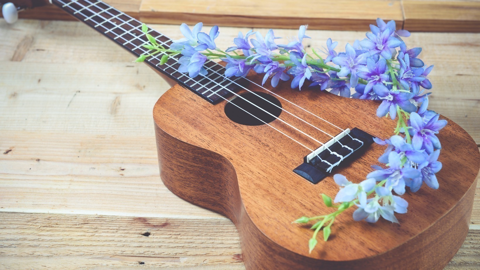 Beginners Ukulele Workshop