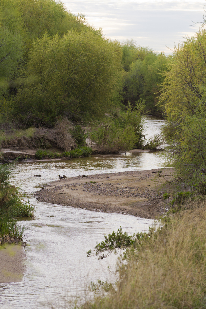 Living River Ramble