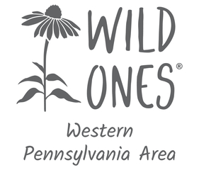 From Pollinators to Plate: How Native Plants Support Productive Gardens