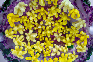 Textures of Being Artist-Led Exhibition Tour
