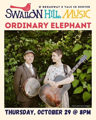 Ordinary Elephant