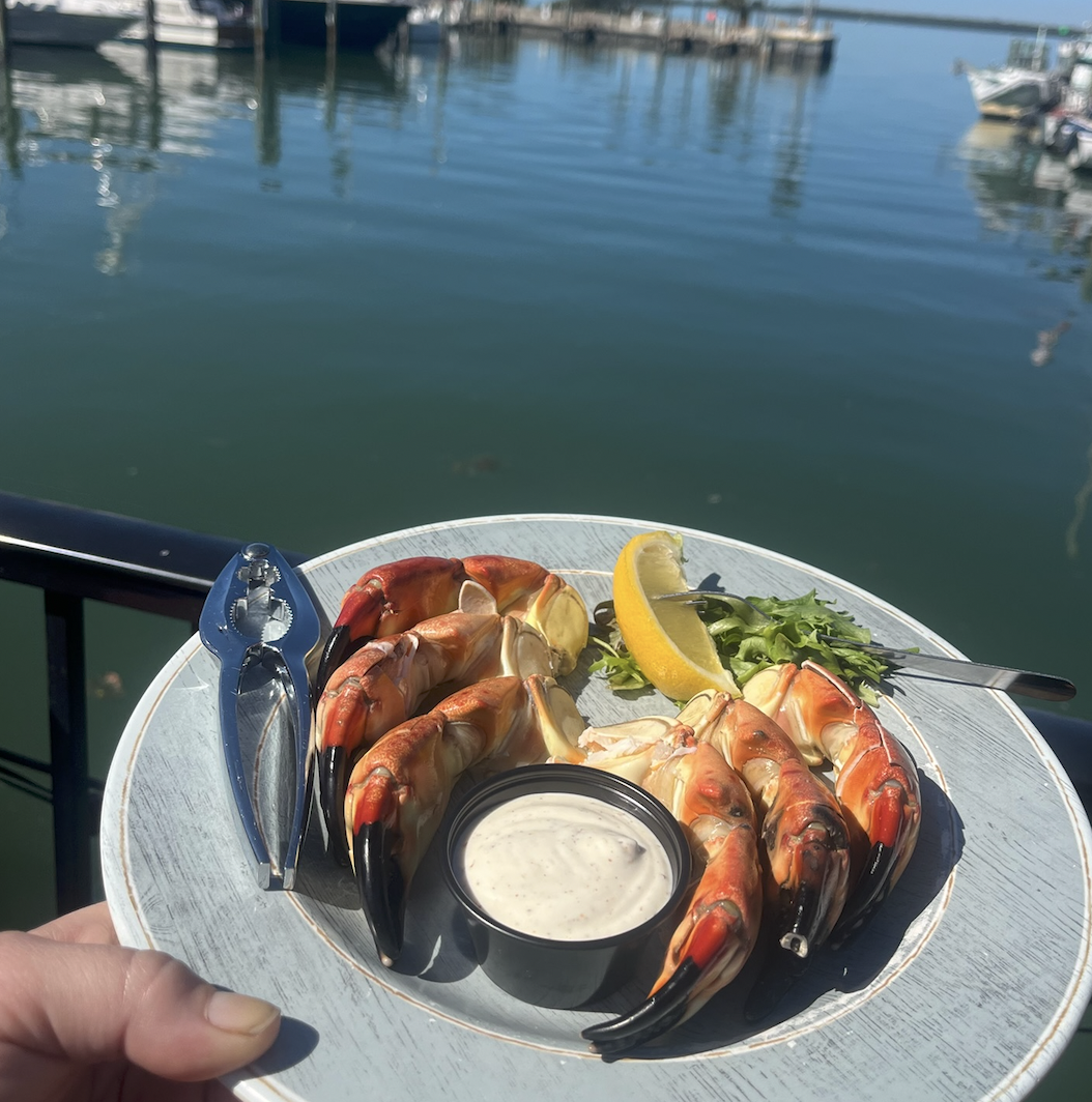 Dunedin Seafood & Music Festival - Dunedin Seafood & Music Festival