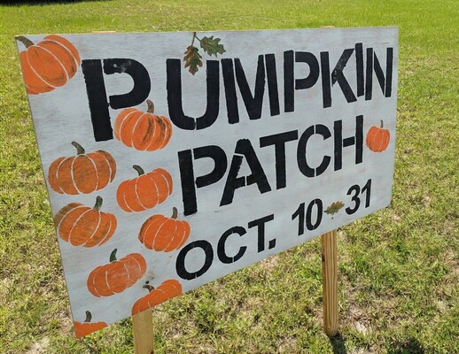 Event image for Marion Oaks Pumpkin Patch