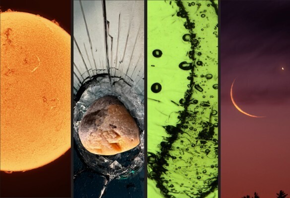 Near and Far: Mahmoud Hallak, Robert Horton, Sean Salstrom and Roberto Zenit