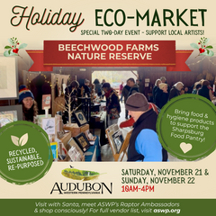 Holiday Eco-Market