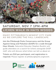 Trail Tour in Hays Woods Park - Lichens and Air Quality