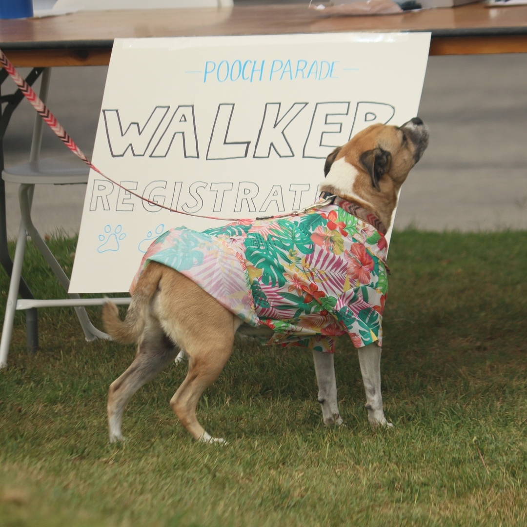 26th Annual Pooch Parade