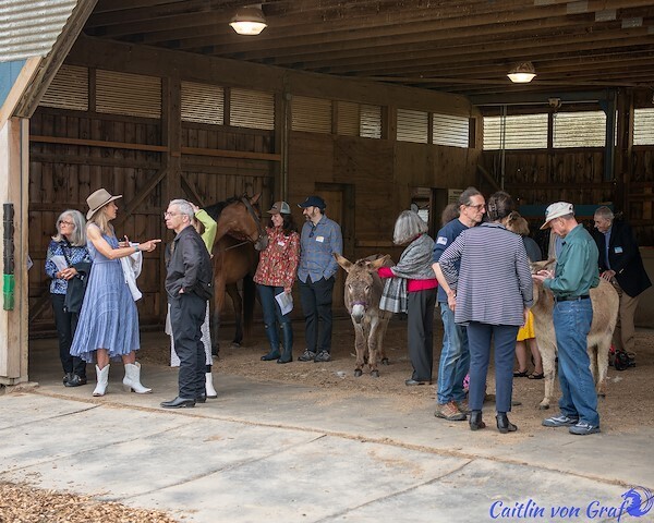 Blue Rider Stables Summer Benefit